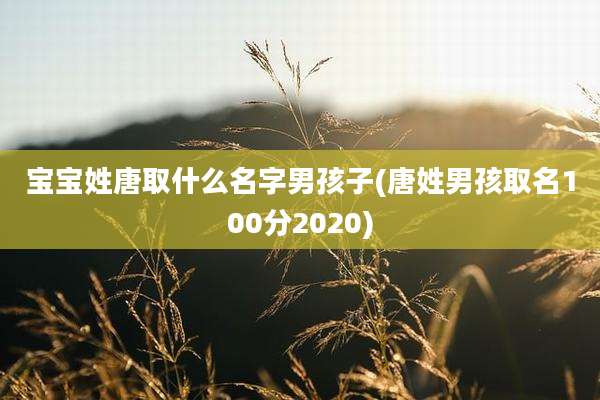 宝宝姓唐取什么名字男孩子(唐姓男孩取名100分2020)
