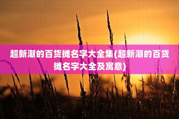 超新潮的百货摊名字大全集(超新潮的百货摊名字大全及寓意)