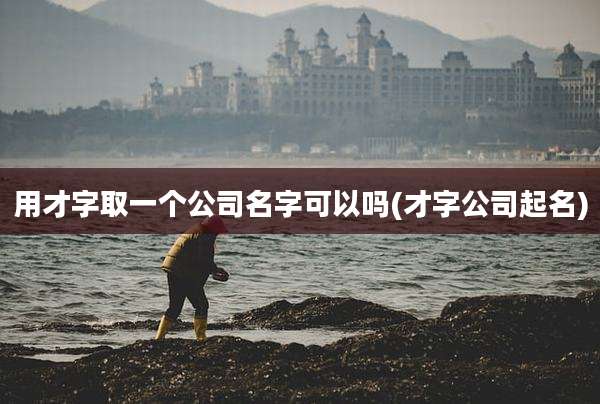 用才字取一个公司名字可以吗(才字公司起名)