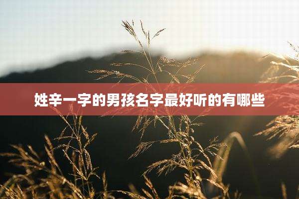 姓辛一字的男孩名字最好听的有哪些