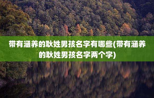 带有涵养的耿姓男孩名字有哪些(带有涵养的耿姓男孩名字两个字)