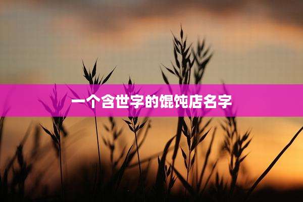 一个含世字的馄饨店名字