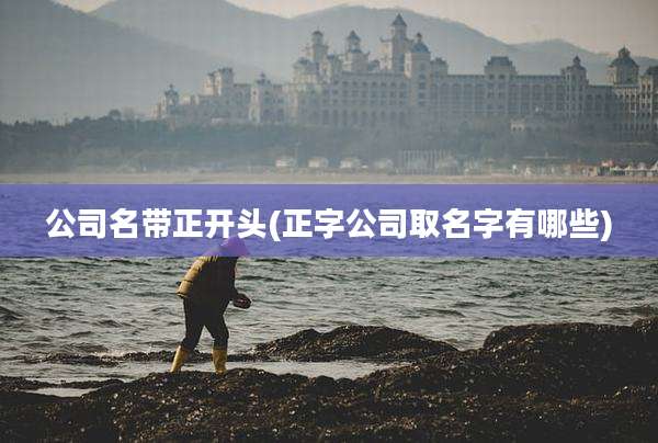 公司名带正开头(正字公司取名字有哪些)
