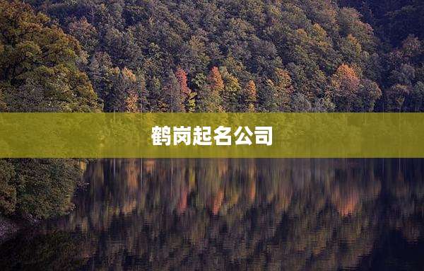 鹤岗起名公司