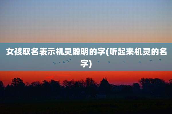 女孩取名表示机灵聪明的字(听起来机灵的名字)