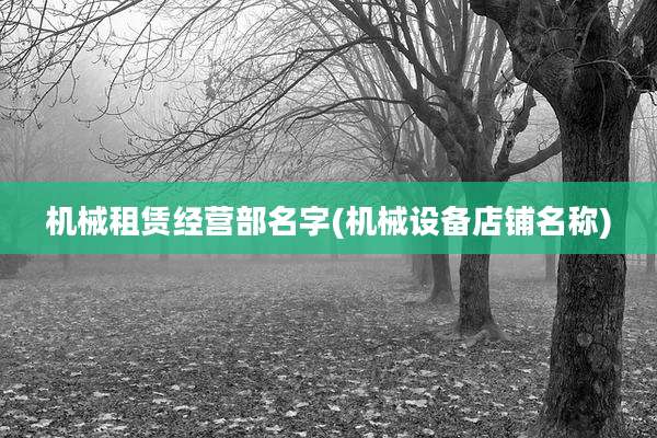 机械租赁经营部名字(机械设备店铺名称)