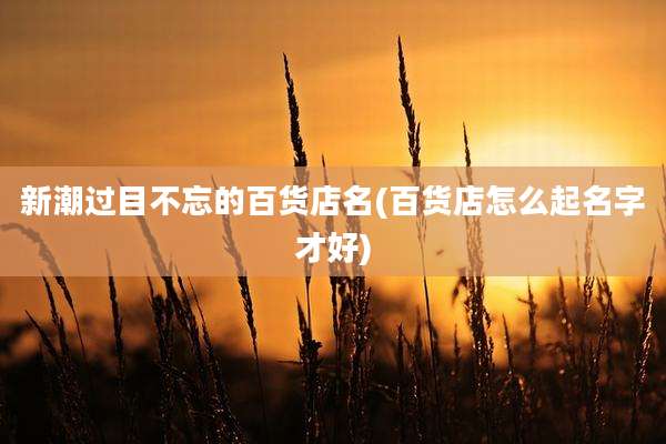 新潮过目不忘的百货店名(百货店怎么起名字才好)