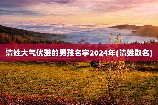 清姓大气优雅的男孩名字2024年(清姓取名)