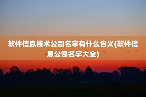 软件信息技术公司名字有什么含义(软件信息公司名字大全)