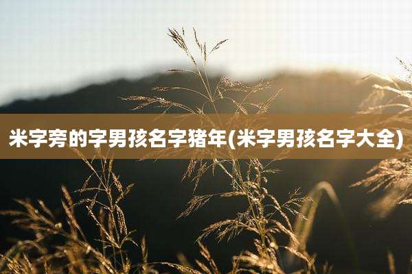 米字旁的字男孩名字猪年(米字男孩名字大全)
