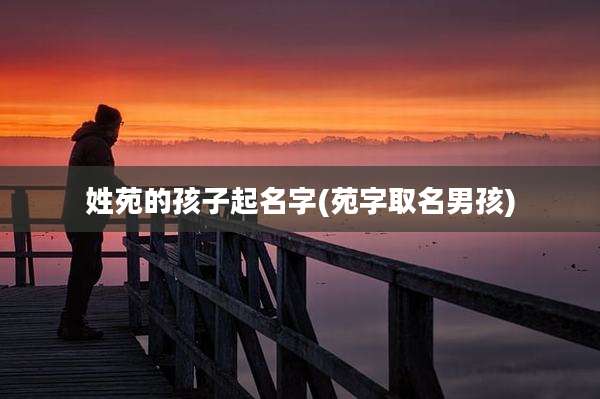 姓苑的孩子起名字(苑字取名男孩)