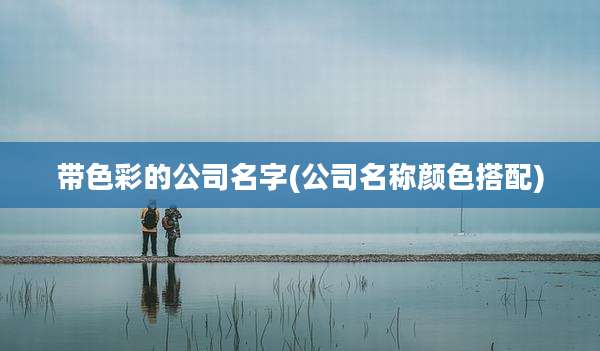带色彩的公司名字(公司名称颜色搭配)