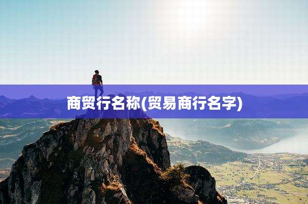 商贸行名称(贸易商行名字)