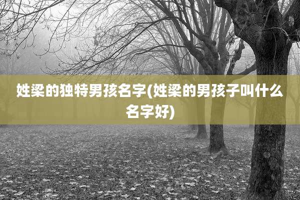 姓梁的独特男孩名字(姓梁的男孩子叫什么名字好)