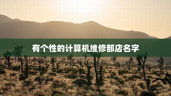 有个性的计算机维修部店名字