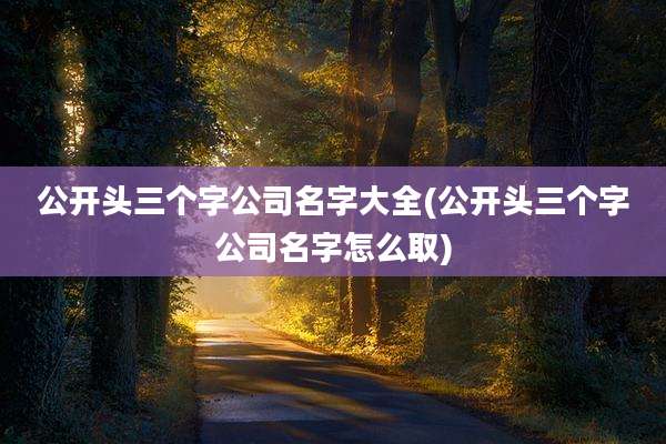 公开头三个字公司名字大全(公开头三个字公司名字怎么取)