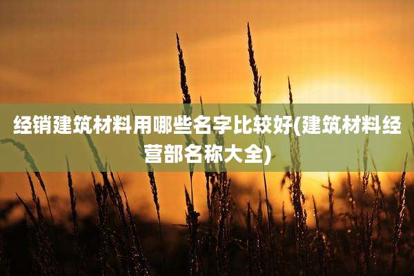 经销建筑材料用哪些名字比较好(建筑材料经营部名称大全)