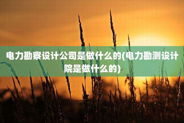 电力勘察设计公司是做什么的(电力勘测设计院是做什么的)