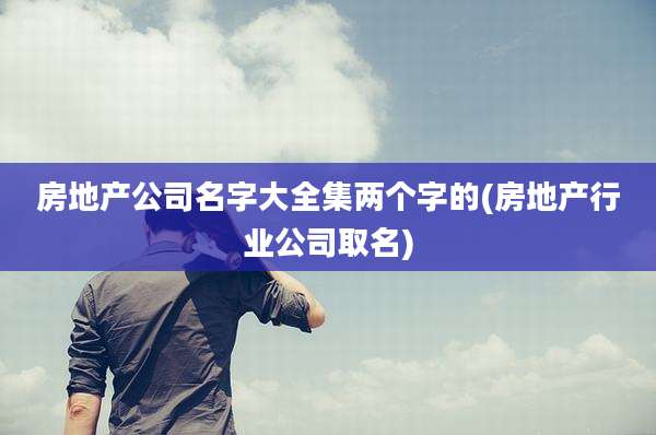 房地产公司名字大全集两个字的(房地产行业公司取名)
