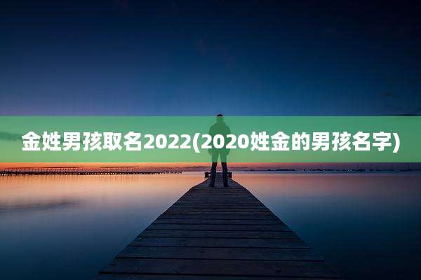 金姓男孩取名2022(2020姓金的男孩名字)