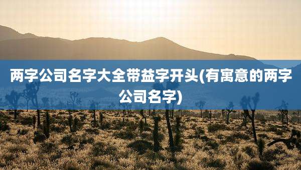 两字公司名字大全带益字开头(有寓意的两字公司名字)