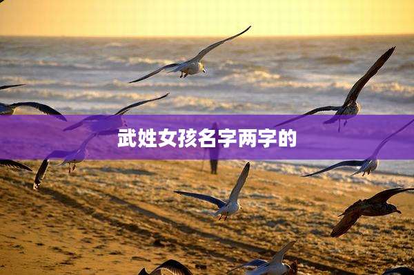 武姓女孩名字两字的
