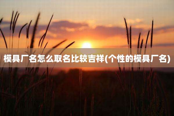 模具厂名怎么取名比较吉祥(个性的模具厂名)