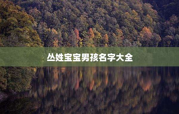 丛姓宝宝男孩名字大全