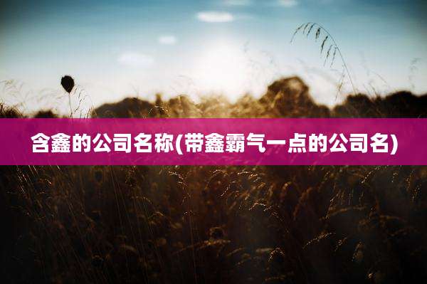 含鑫的公司名称(带鑫霸气一点的公司名)
