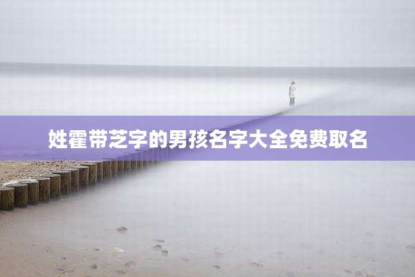 姓霍带芝字的男孩名字大全免费取名