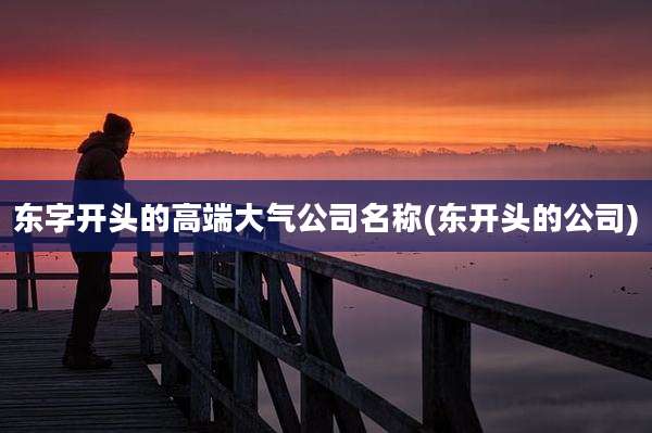 东字开头的高端大气公司名称(东开头的公司)
