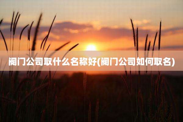 阀门公司取什么名称好(阀门公司如何取名)