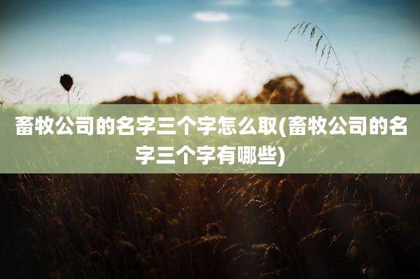 畜牧公司的名字三个字怎么取(畜牧公司的名字三个字有哪些)