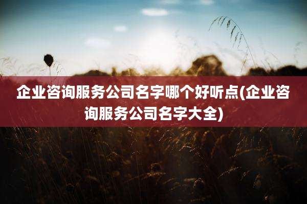 企业咨询服务公司名字哪个好听点(企业咨询服务公司名字大全)