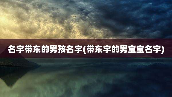 名字带东的男孩名字(带东字的男宝宝名字)