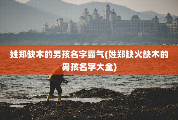 姓郑缺木的男孩名字霸气(姓郑缺火缺木的男孩名字大全)