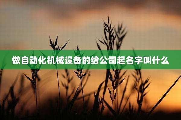 做自动化机械设备的给公司起名字叫什么