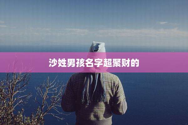 沙姓男孩名字超聚财的