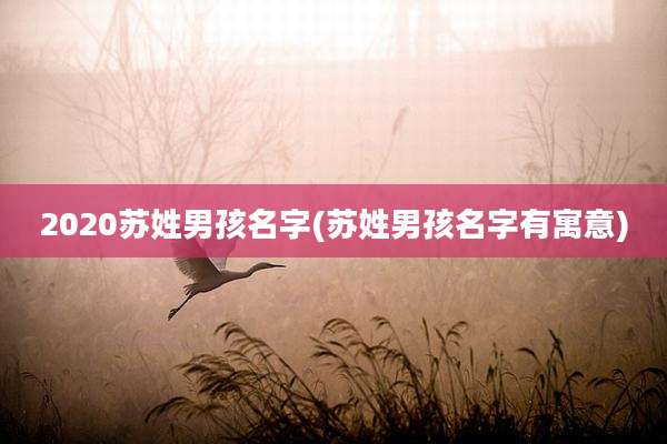 2020苏姓男孩名字(苏姓男孩名字有寓意)