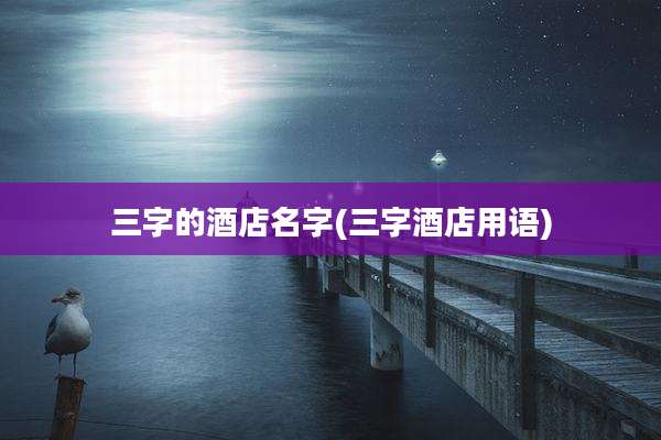 三字的酒店名字(三字酒店用语)