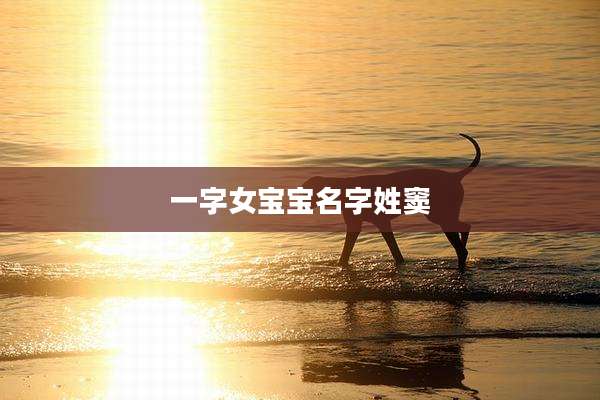 一字女宝宝名字姓窦