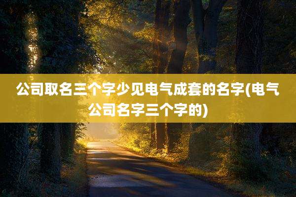 公司取名三个字少见电气成套的名字(电气公司名字三个字的)