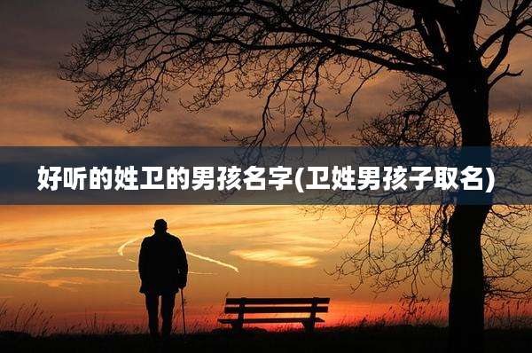 好听的姓卫的男孩名字(卫姓男孩子取名)