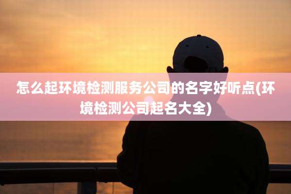 怎么起环境检测服务公司的名字好听点(环境检测公司起名大全)
