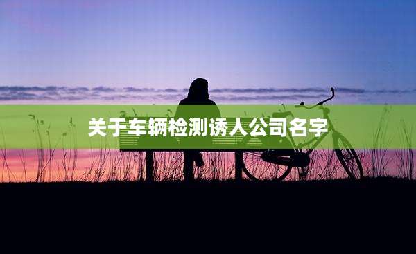 关于车辆检测诱人公司名字