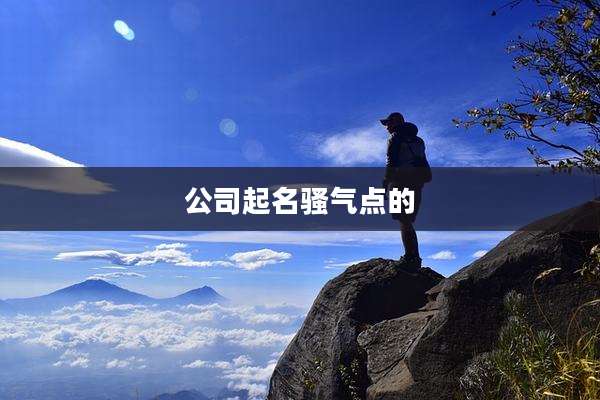 公司起名骚气点的