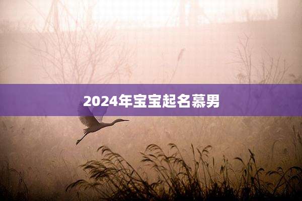 2024年宝宝起名慕男