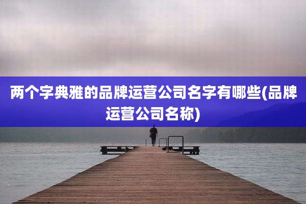 两个字典雅的品牌运营公司名字有哪些(品牌运营公司名称)