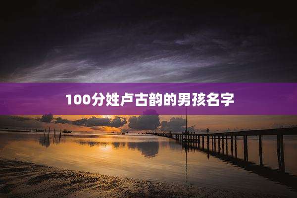 100分姓卢古韵的男孩名字