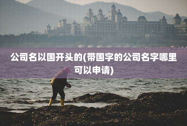 公司名以国开头的(带国字的公司名字哪里可以申请)